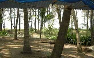 Kalpataru Homestay, Vengurla 2